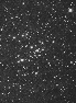 m41