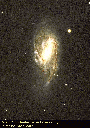 m66