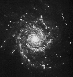 m74