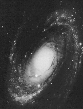 m81